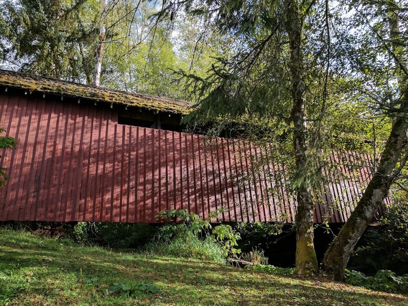 Pairing the Bridge With Drift Creek Falls