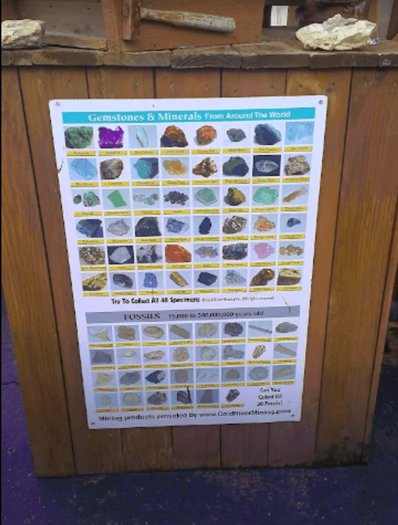 Panning for Gemstones: A Hidden Gem of the Park