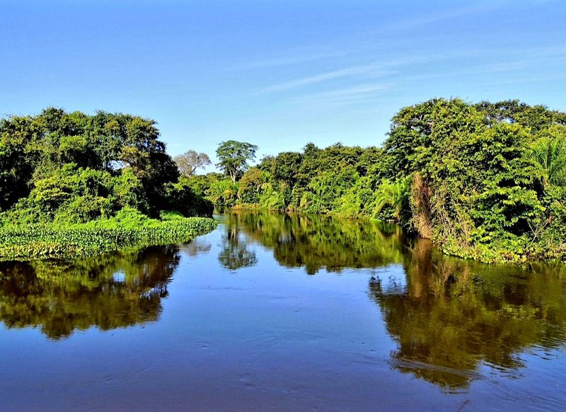Pantanal, Brazil