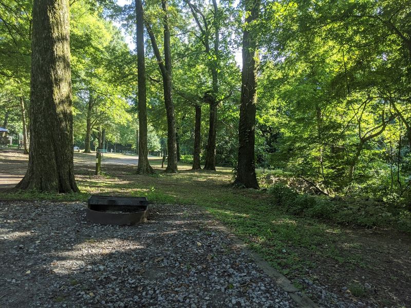 Park Hours and Best Times to Visit Park Hours and Best Times to Visit