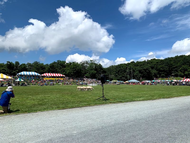 Parking, Shuttles, and What to Plan For