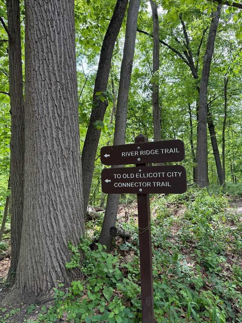 Patapsco Valley State Park, Ellicott City, Maryland Patapsco Valley State Park, Ellicott City, Maryland