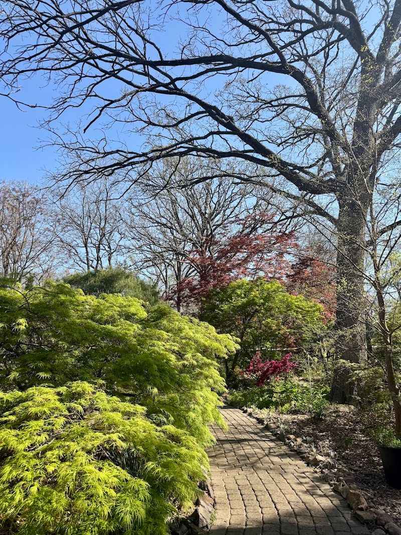 Paved Trails That Welcome Every Kind of Visitor