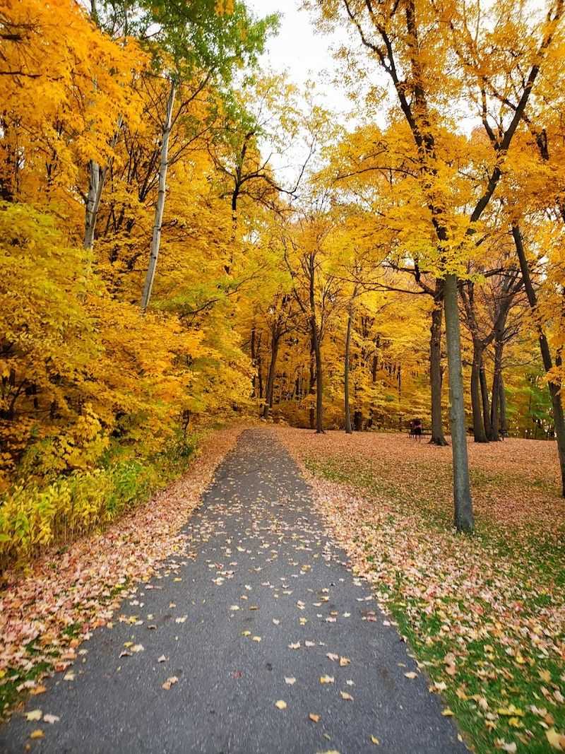 Paved Trails and Wooded Paths Paved Trails and Wooded Paths