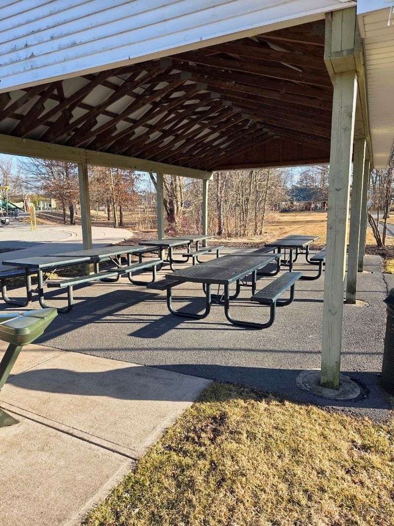 Pavilions, Picnics, and the Art of Gathering Outdoors