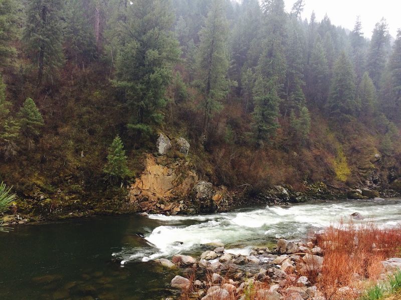 Payette River, Banks, Idaho