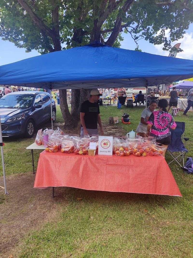 Peaches Rooted in the Sandhills Soil Peaches Rooted in the Sandhills Soil