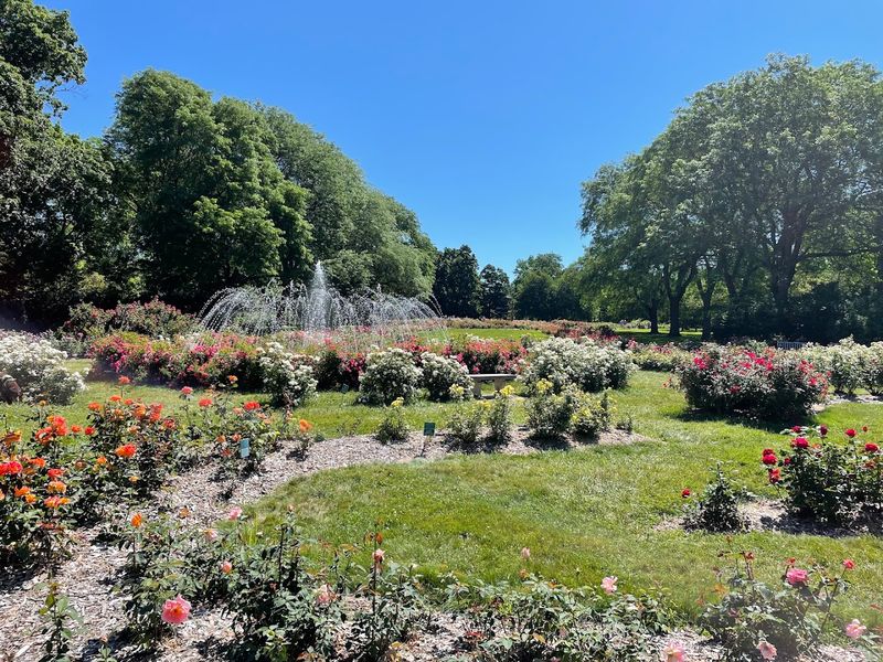 Peak Bloom Season and the Best Time to Visit Peak Bloom Season and the Best Time to Visit