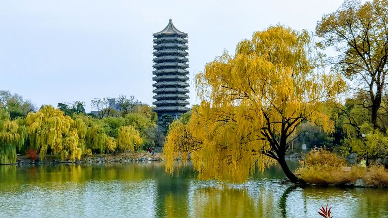 Peking University, Beijing, China Peking University, Beijing, China