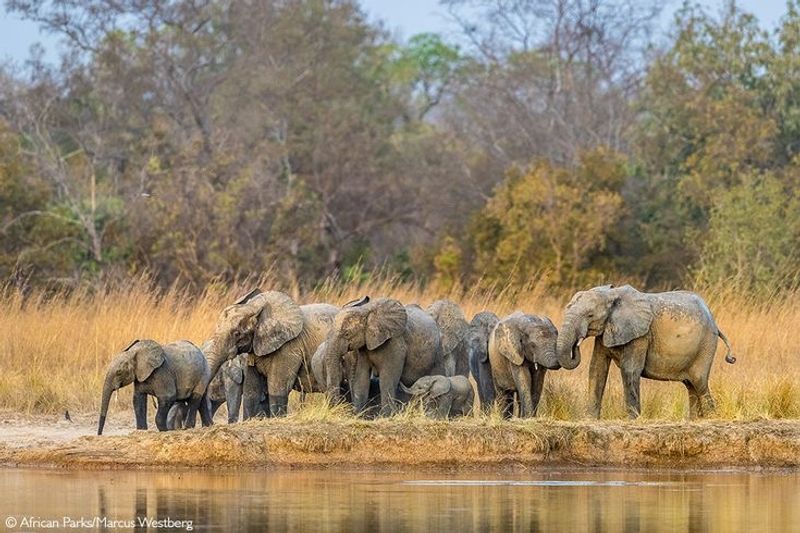 Pendjari National Park, Benin