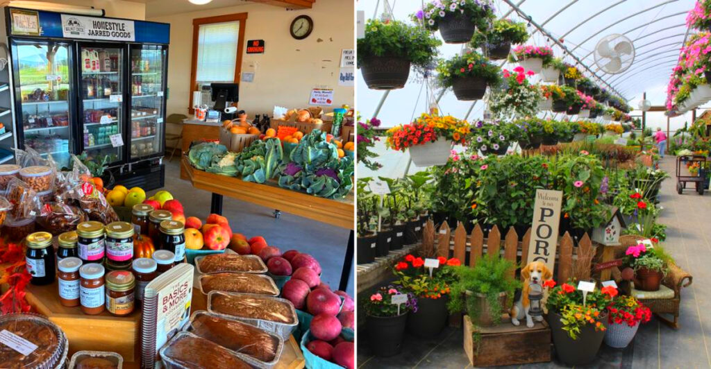 People Drive Across Central Pennsylvania for Colorful Greenhouses, Fresh Produce, and Homemade Baked Goods