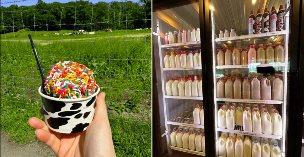 People Visit This Massachusetts Farm For Fresh Milk And Handcrafted Ice Cream