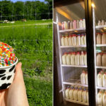People Visit This Massachusetts Farm For Fresh Milk And Handcrafted Ice Cream