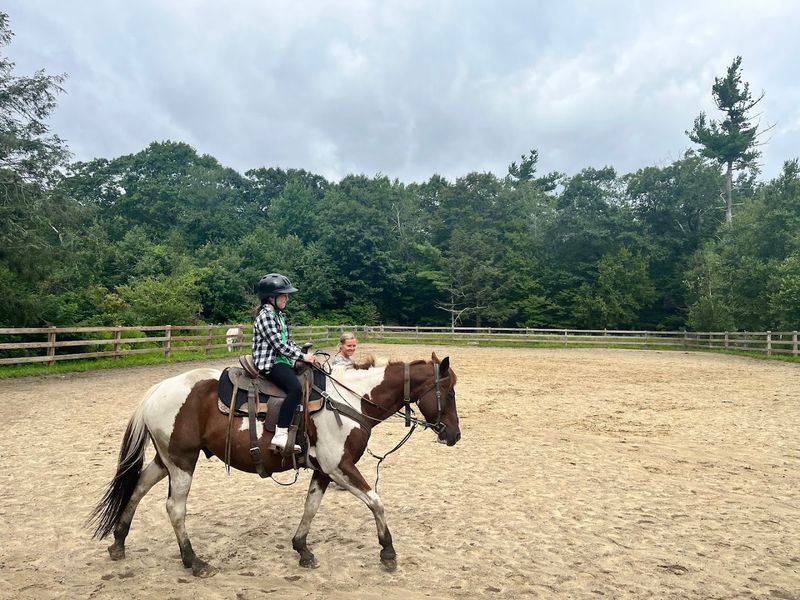 Perfect for First-Time Riders Perfect for First-Time Riders