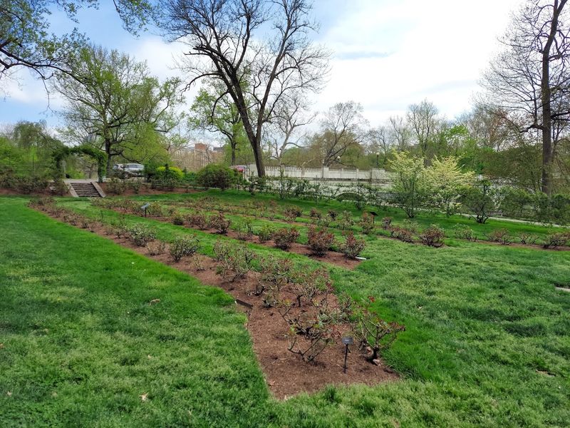 Pests, Deer, and the Quiet Battle to Protect the Blooms Pests, Deer, and the Quiet Battle to Protect the Blooms