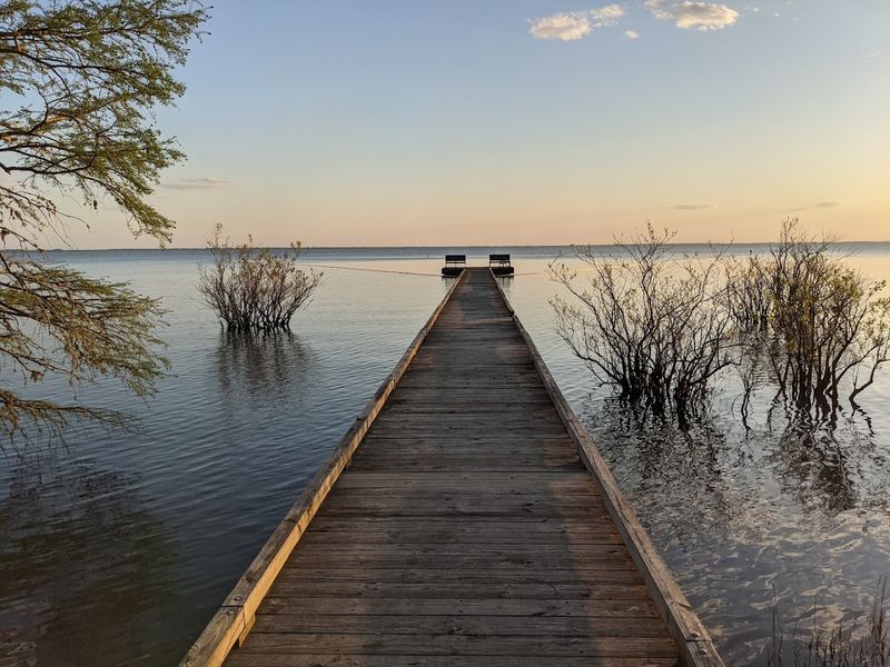 Pettigrew State Park Boardwalk — Creswell Pettigrew State Park Boardwalk — Creswell