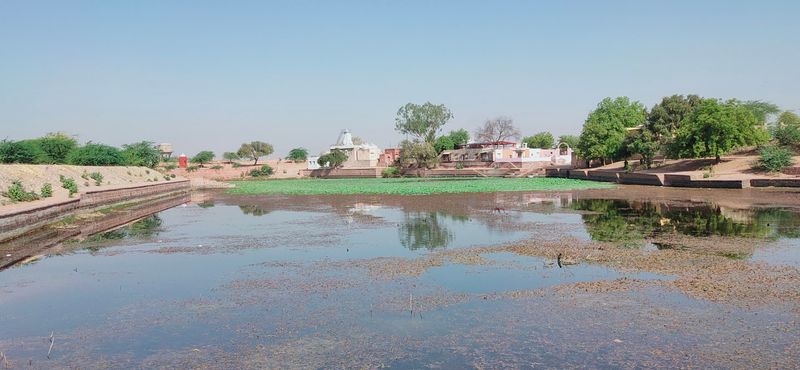 Phalodi, Rajasthan, India, 51.0°C (123.8°F) Phalodi, Rajasthan, India, 51.0°C (123.8°F)
