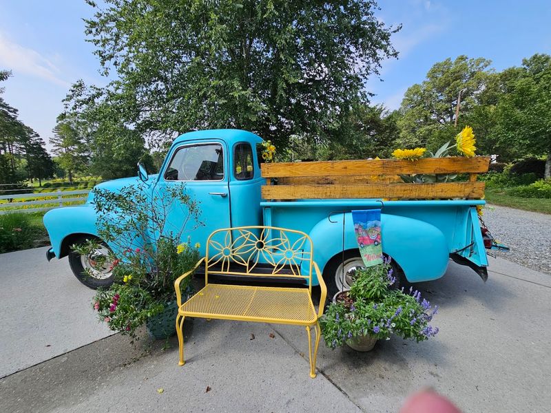 Photo Props and Creative Backdrops Across the Property Photo Props and Creative Backdrops Across the Property