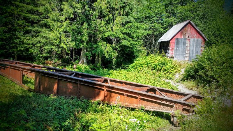 Photography Opportunities on the Trail