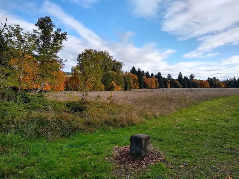 Picnic Areas, Group Sites, and Family-Friendly Spaces