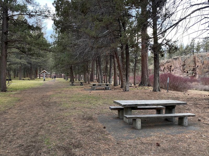 Picnic Areas Worth Lingering In