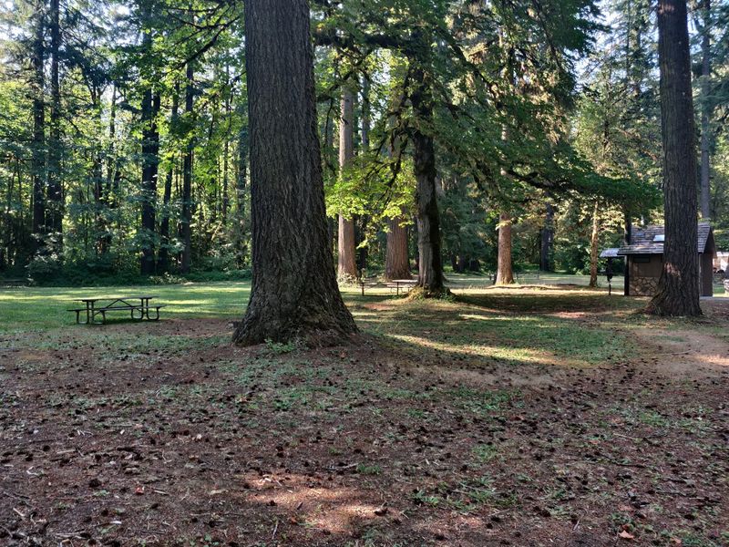 Picnic Areas and Day-Use Spots Picnic Areas and Day-Use Spots