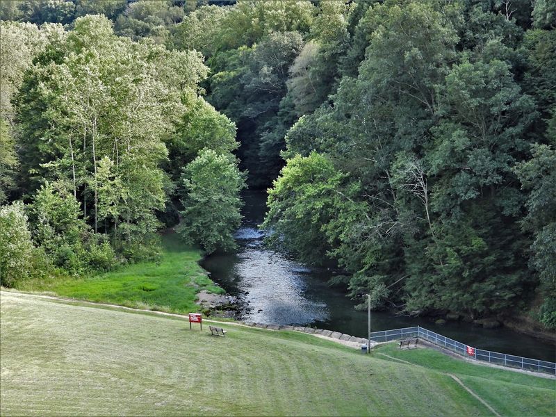 Picnic Areas and Family Amenities