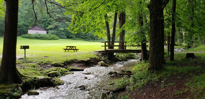Picnic Areas and Family Day Trips