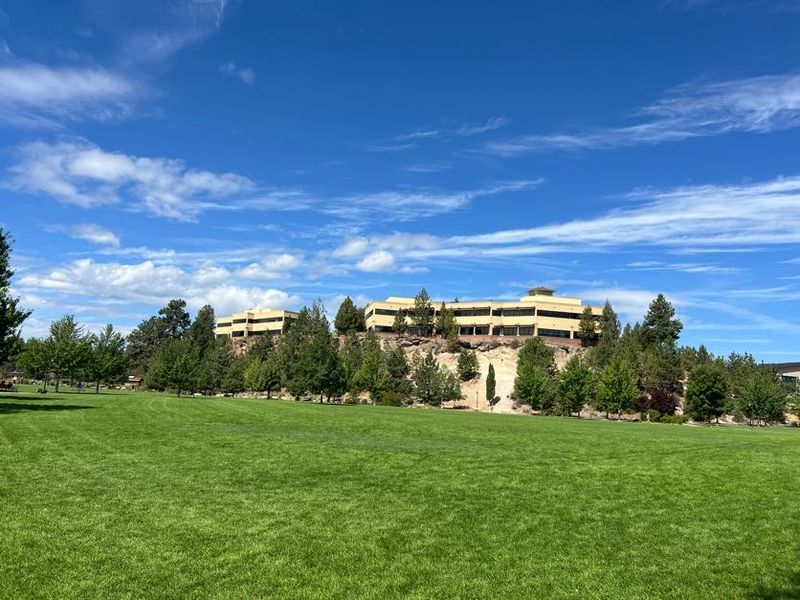 Picnicking, Open Space, and the Art of Doing Nothing Picnicking, Open Space, and the Art of Doing Nothing