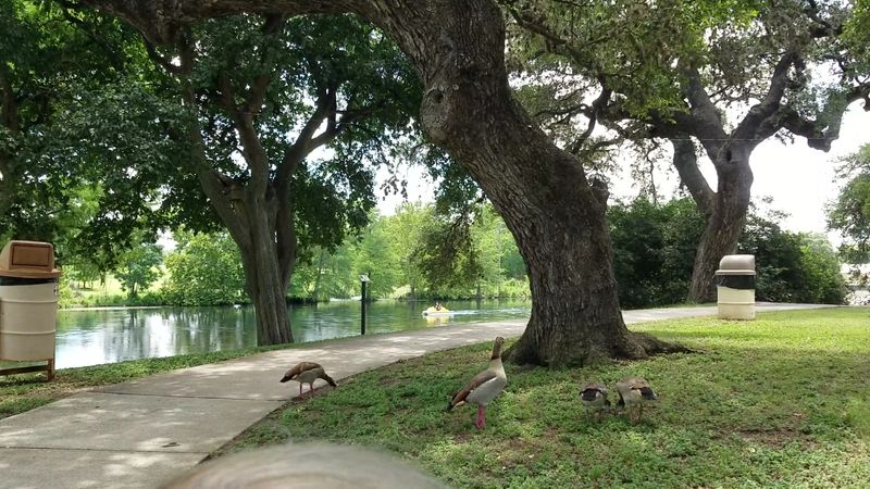 Picnicking, Pavilions, and BBQ Pits