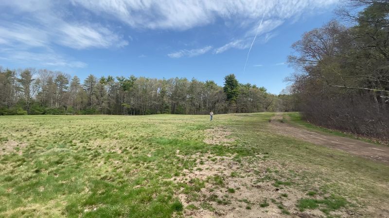 Picnicking and Open Fields: The Slower Side of the Park