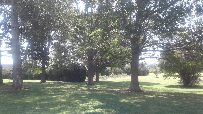 Picnicking by the River on the Estate Grounds Picnicking by the River on the Estate Grounds