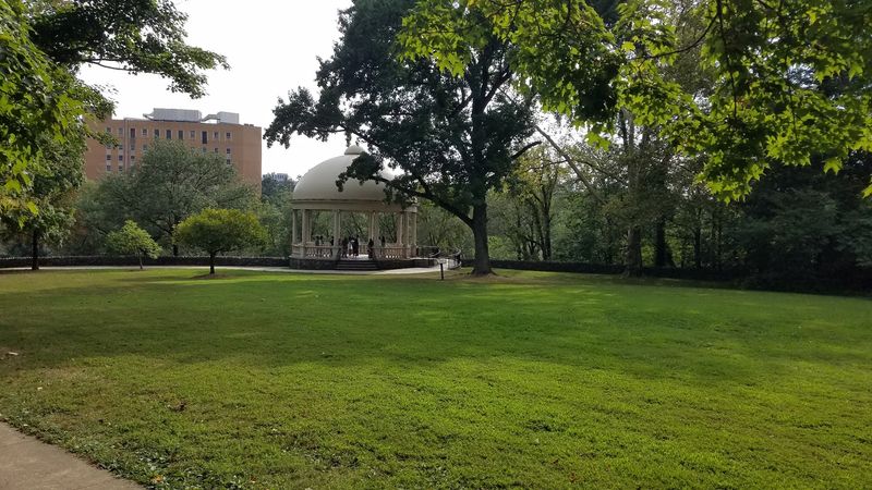 Picnics, Pavilions, and Community Events That Fill the Parks with Life