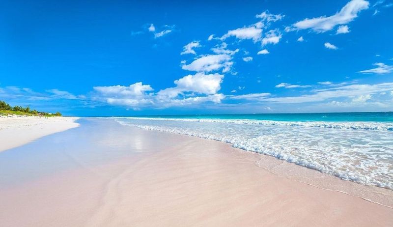 Pink Sands Beach, Harbour Island, Bahamas Pink Sands Beach, Harbour Island, Bahamas