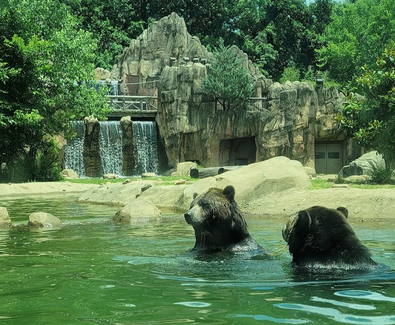 Planning Your Visit: Hours, Tips, and What to Bring Planning Your Visit: Hours, Tips, and What to Bring