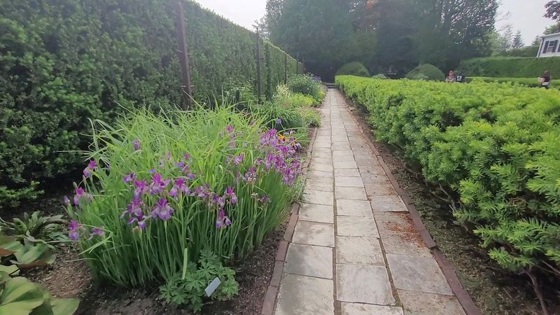 Planning Your Visit: Practical Details Worth Knowing Before You Go