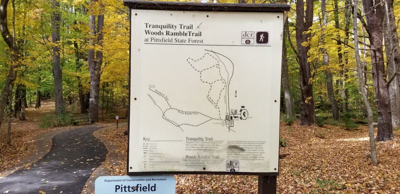 Planning Your Visit: Practical Tips