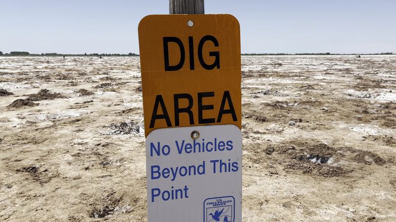 Planning Your Visit: Practical Tips for First-Timers