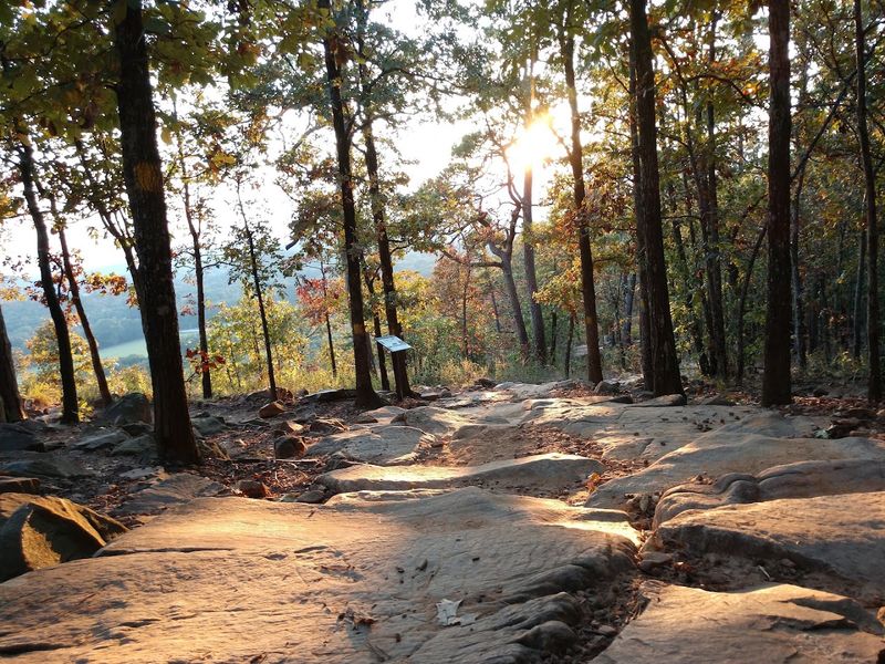 Planning Your Visit: Practical Tips for a Great Day