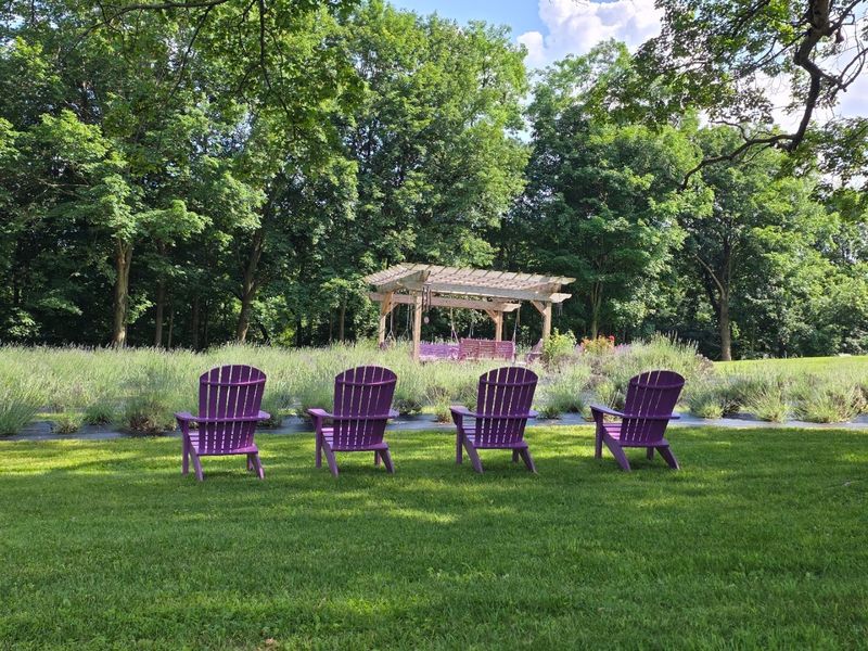 Planning Your Visit: Practical Tips for the Perfect Lavender Day