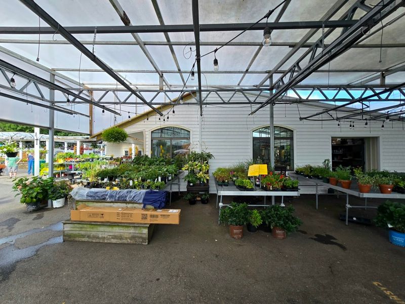 Plants That Go Beyond The Basics Plants That Go Beyond The Basics