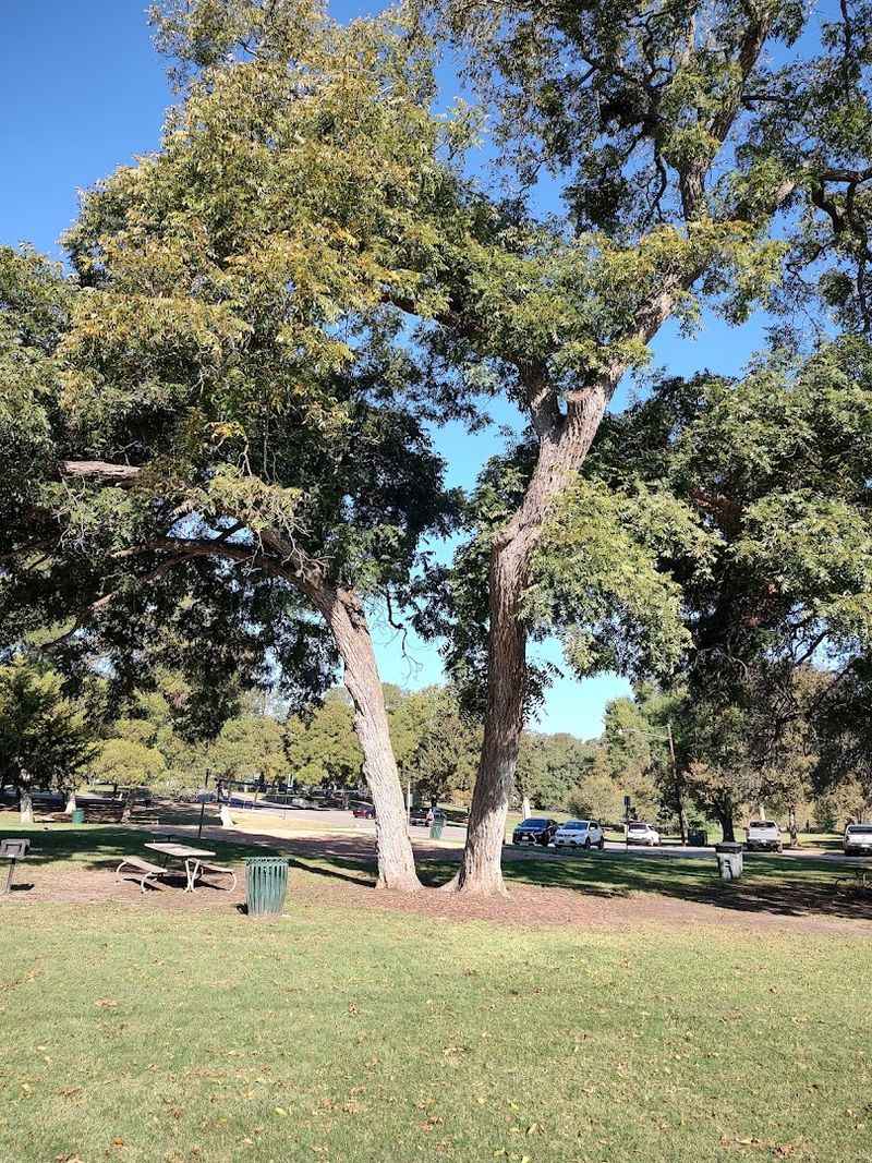 Playgrounds, Music Path, and Family Activities
