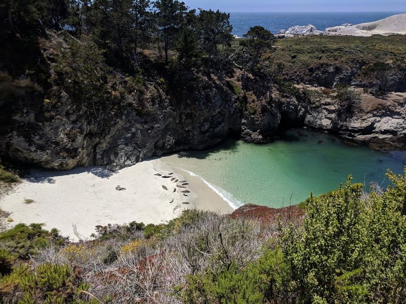 Point Lobos State Natural Reserve, California Point Lobos State Natural Reserve, California