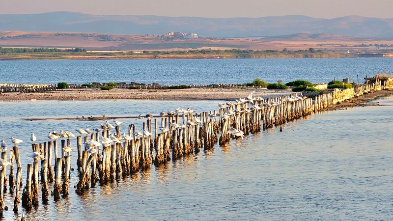 Pomorie Lake, Bulgaria