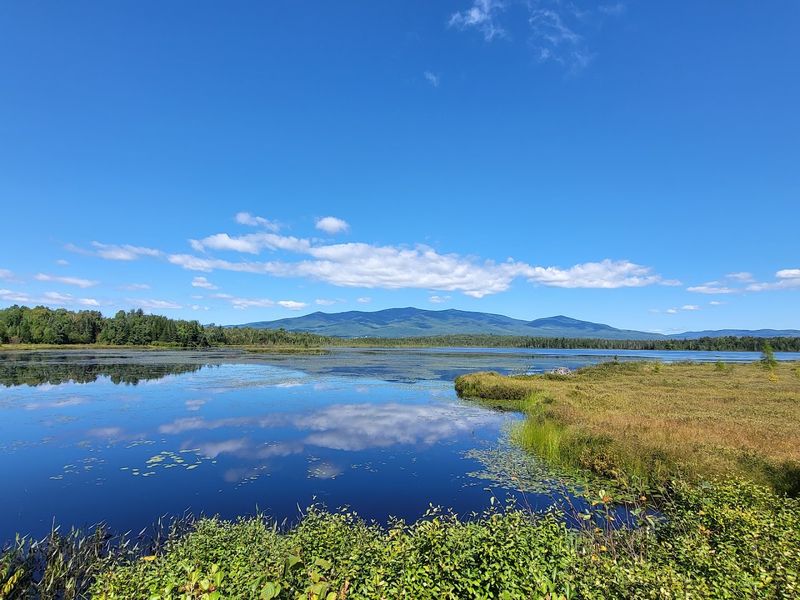 Pondicherry Wildlife Sanctuary, Whitefield, New Hampshire Pondicherry Wildlife Sanctuary, Whitefield, New Hampshire