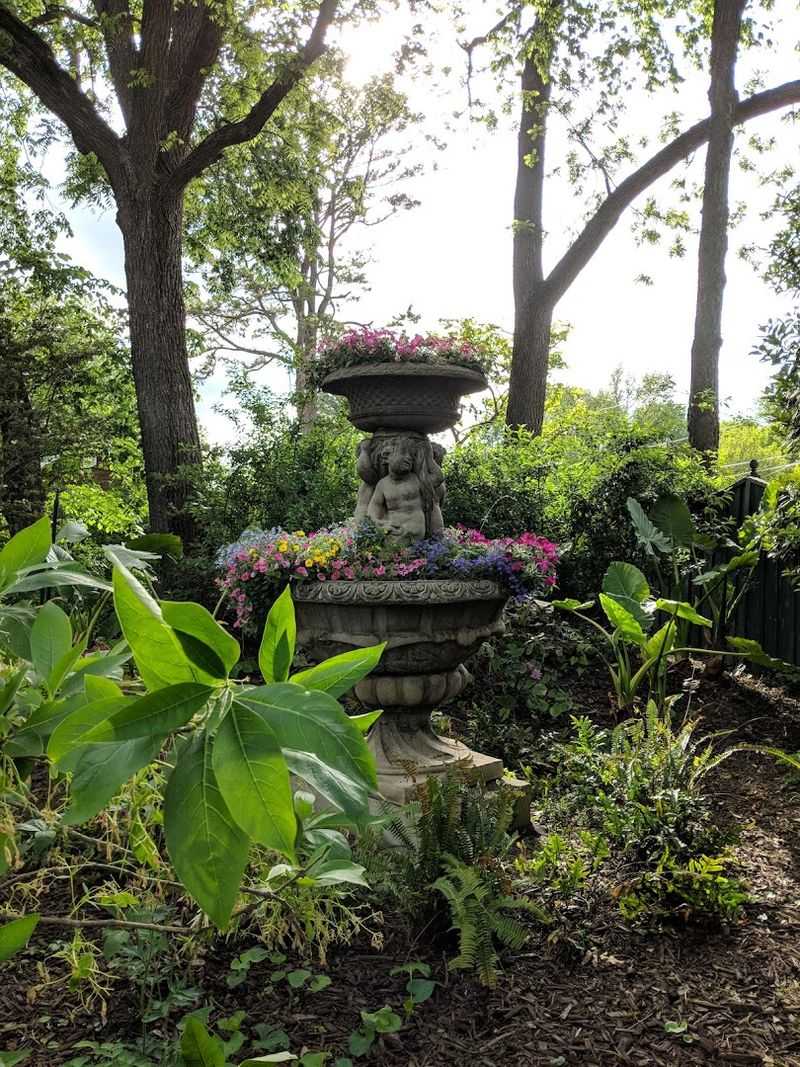 Ponds, Chipmunks, and Urban Wildlife Surprises Ponds, Chipmunks, and Urban Wildlife Surprises