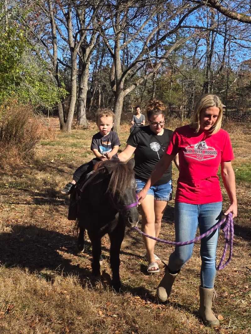 Pony Rides That Light Up Young Faces Pony Rides That Light Up Young Faces