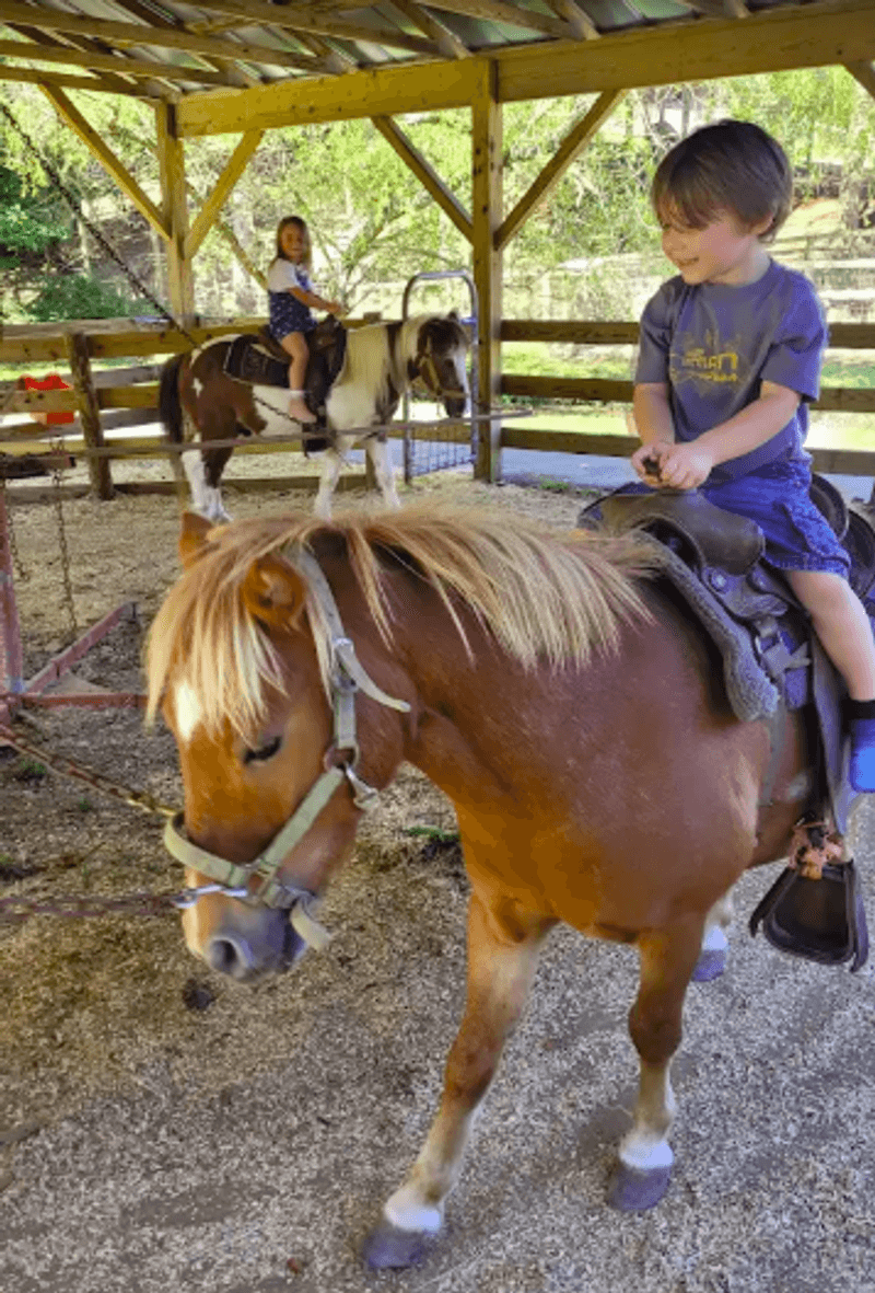 Pony Rides and the Playground