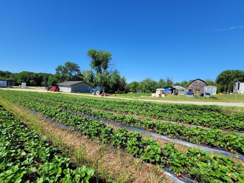 Poplar Ridge Farm, Kernersville