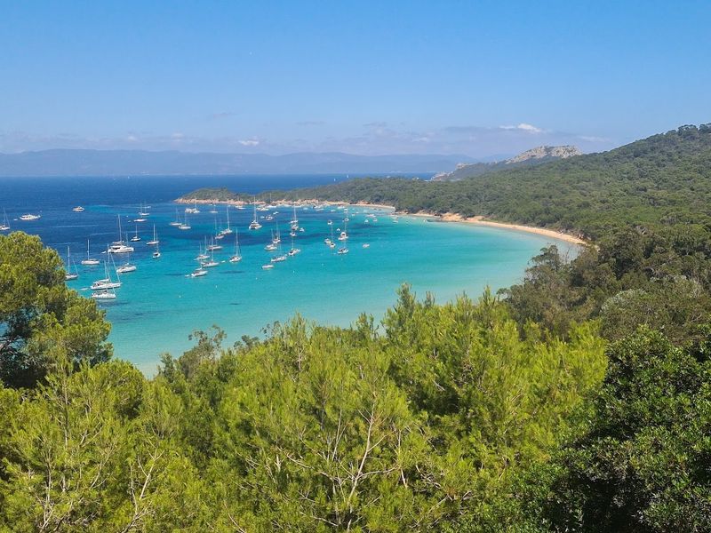 Porquerolles Island Porquerolles Island